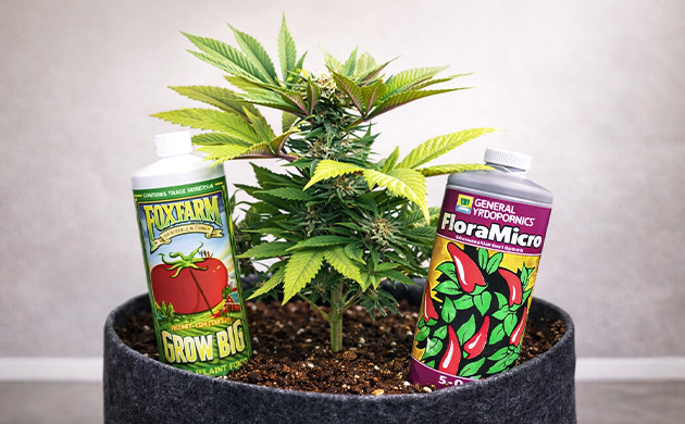 Get the Nutrients and pH Right