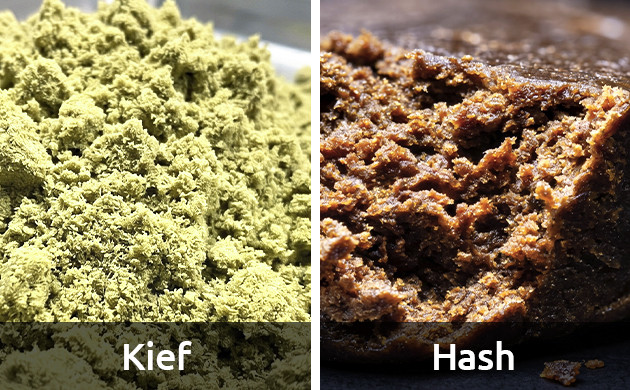 Kief and hash difference kief meaning