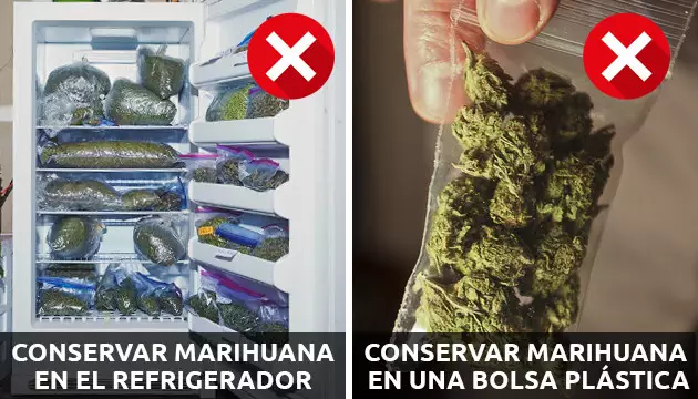 qué no hacer al momento de conservar marihuana