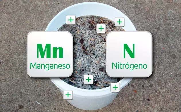 te de compost casero