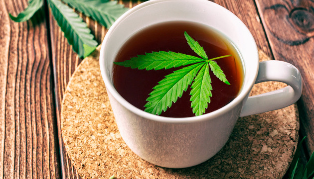 tea male marijuana plants cannabis juice them plant pot