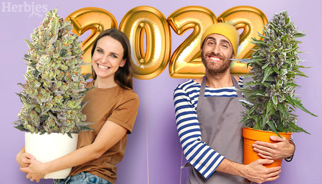 cannabis seeds to grow in 2022
