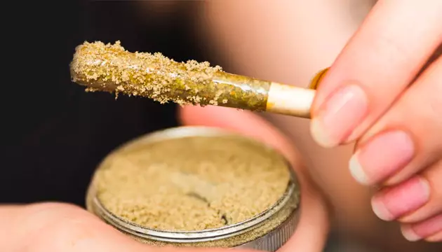 what is concentrated cannabis