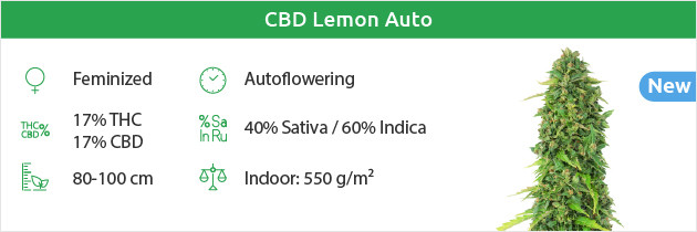 cbd lemon auto free seeds