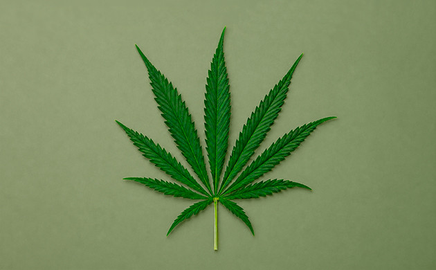 Sativa high different types of high