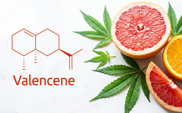 valencene