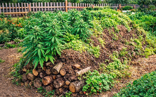 Germans Learned to Create Living Soil