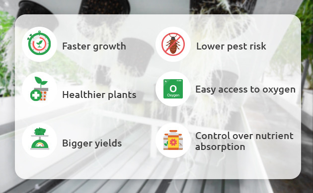 Pros of Aeroponic Weed Growing