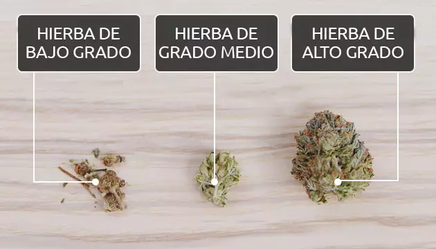 calidad de la hierba