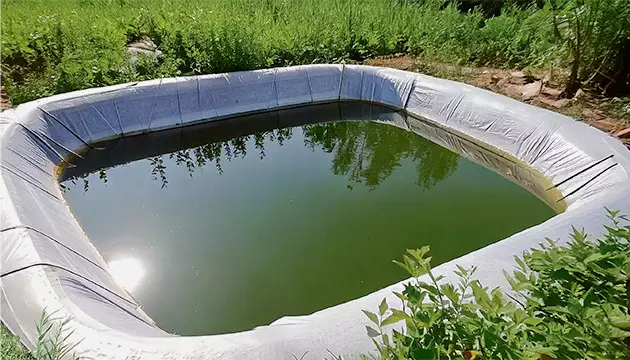 growing weed in the woods