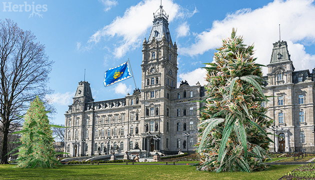 cannabis seeds for sale in quebec