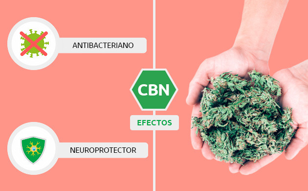 CBN (cannabinol)