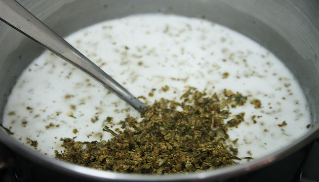 how to make cannamilk