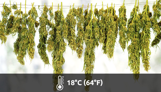 étapes de séchage et de curing