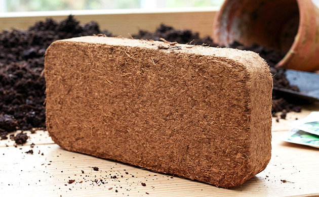 coco bricks