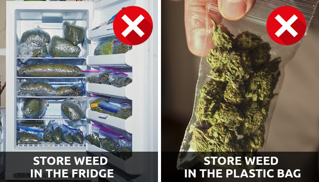 Best Ways To Store Weed - Herbies