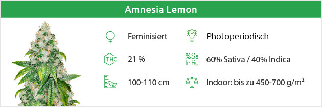 Amnesia Lemon Gratis Samen