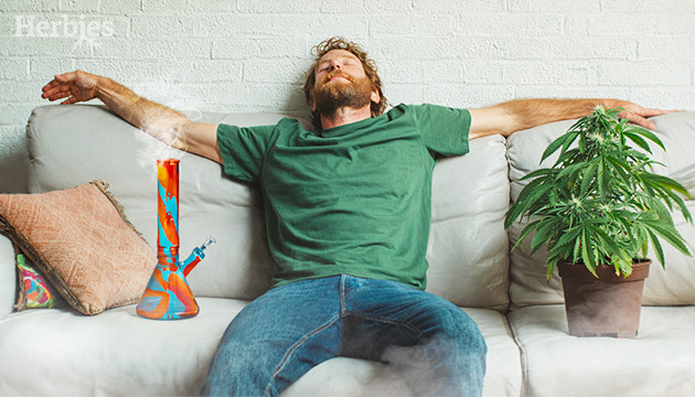 The Best Body-High Strains to Relax or Medicate Yourself best body-high strains