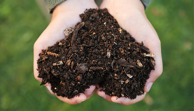 meilleurs nutriments pour les mauvaises herbes