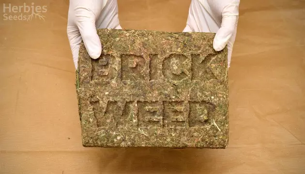 reggie weed