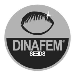 Dinafem Seeds