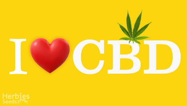 high cbd cannabis