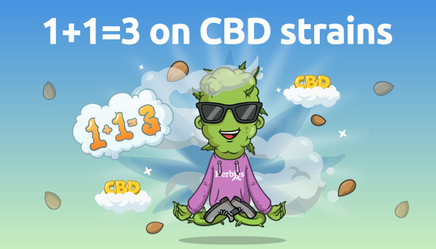 national cbd day
