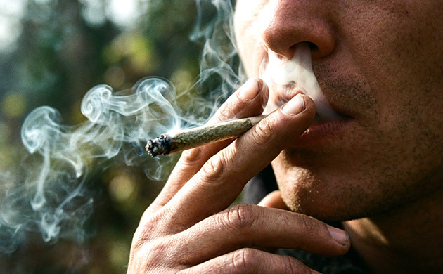  marijuana stems