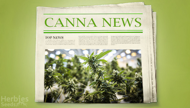 Latest Cannabis News (July 2, 2020)