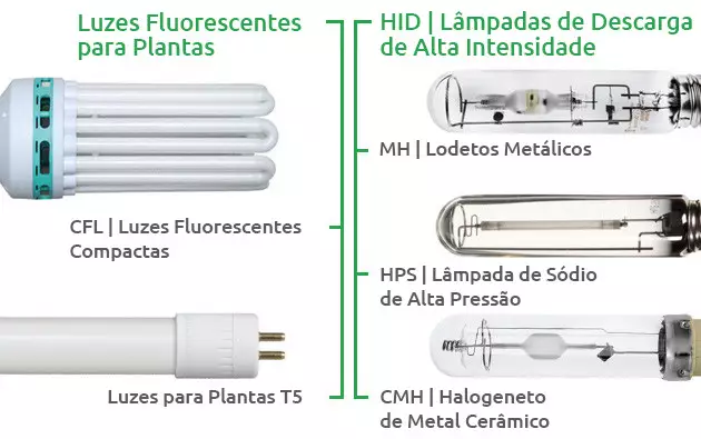 luzes para cannabis
