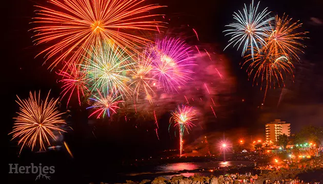 delai de livraison le 24 juin