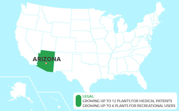 Growing cannabis in Arizona