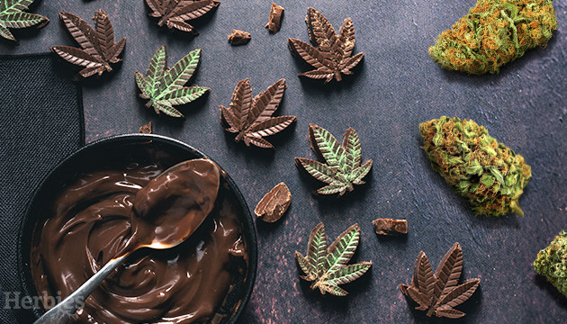 reve de chocolatophile les 5 meilleures variétés de cannabis saveur chocolat