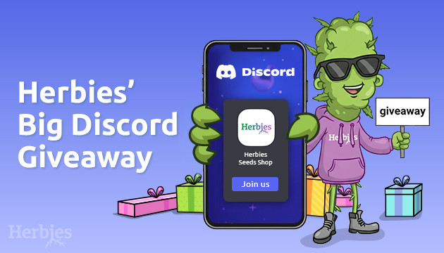 Herbies Launches a Discord herbies launches a discord