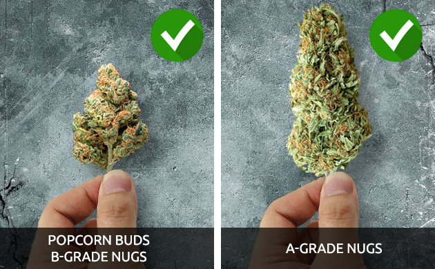 a-grade buds and b-grade buds