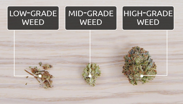 What does good weed look like?