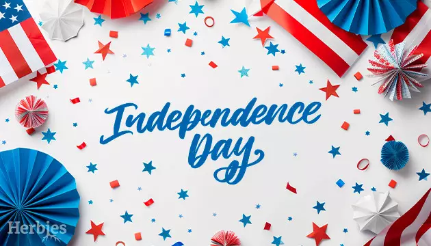 independence day in usa