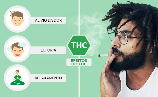 lista de canabinoides todos os principais compostos