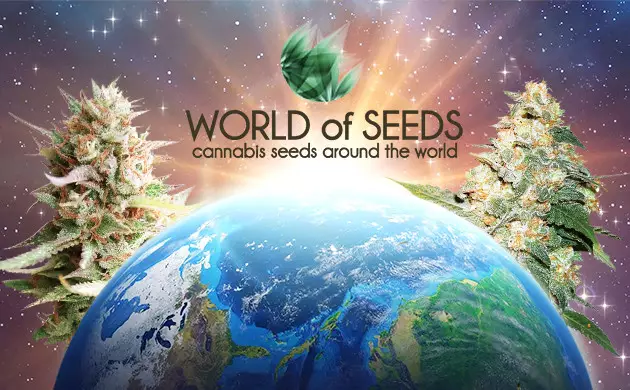 World Of Seeds