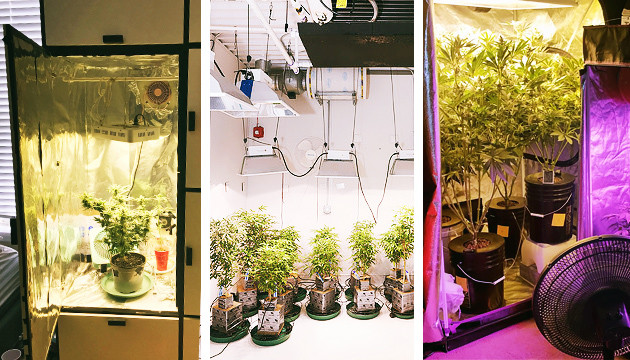 indoor grow equipment