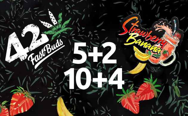 promotion fast buds chez herbies