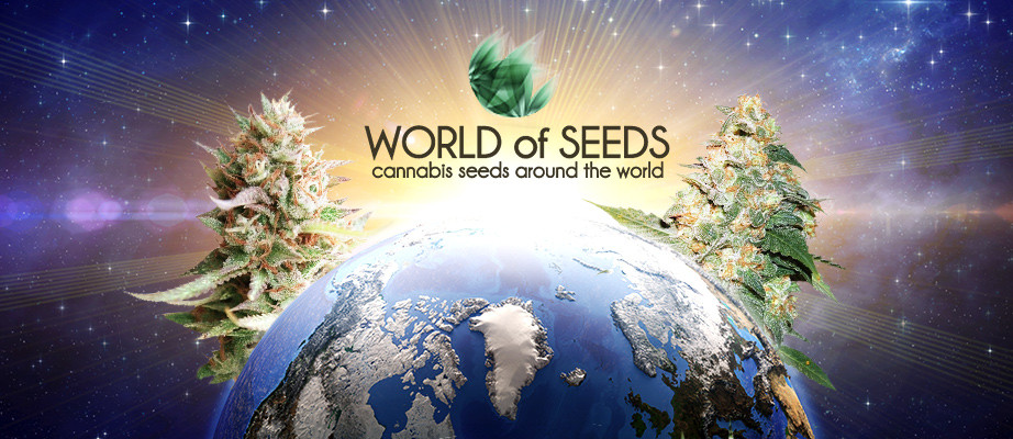 World Of Seeds