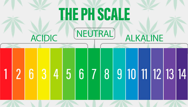 pH level for weed