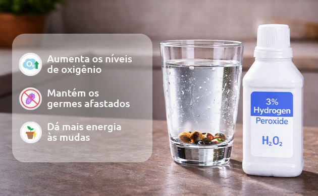 por que voce deve usar peroxido de hidrogenio durante a germinacao