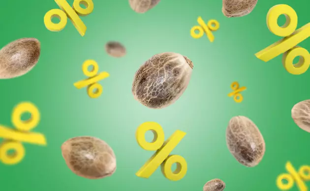 cheap marijuana seeds