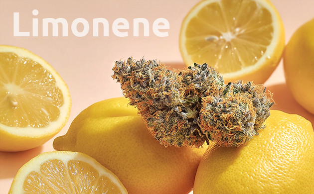 what Is limonene?