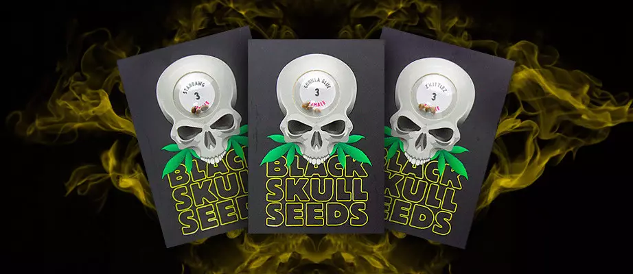 Blackskull Seeds cannabis seeds