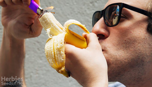 Un niño encuentra una pipa para fumar marihuana en la cajita de su