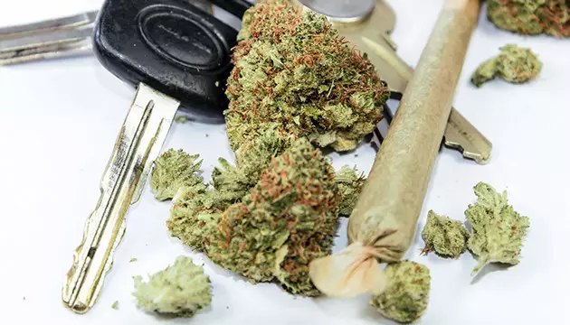  como picar marihuana con la mano