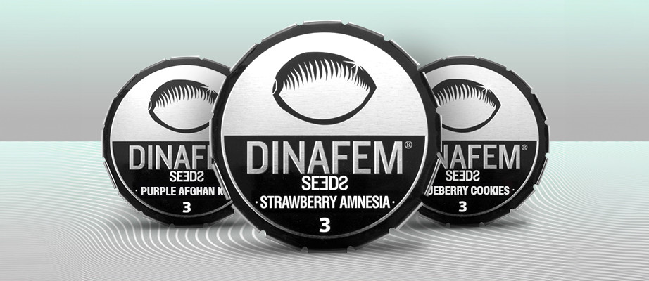 Dinafem Seeds seeds for sale